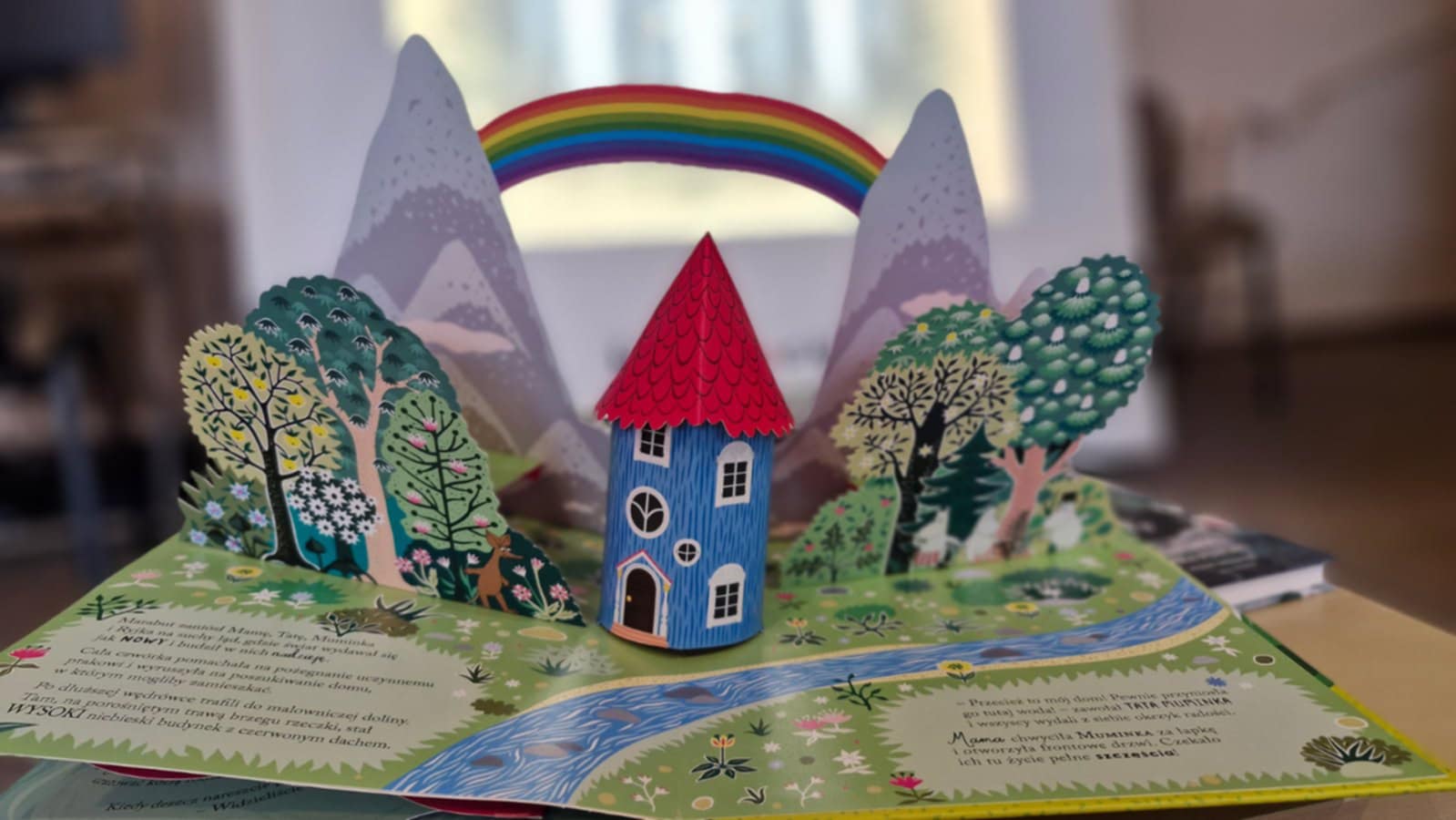 "Czytamy Muminki" w Bibliotece Pedagogicznej - podsumowanie